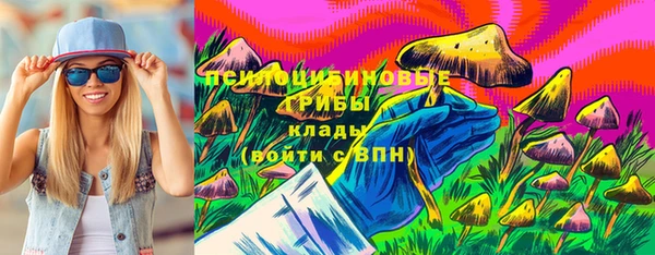 ПСИЛОЦИБИНОВЫЕ ГРИБЫ Балахна