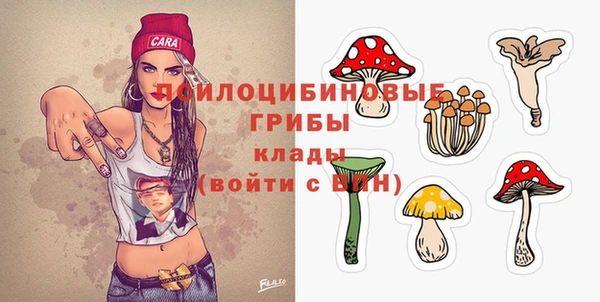 ПСИЛОЦИБИНОВЫЕ ГРИБЫ Балахна