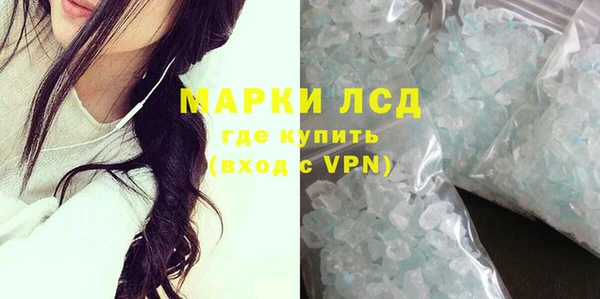 сатива Беломорск