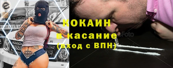 сатива Беломорск