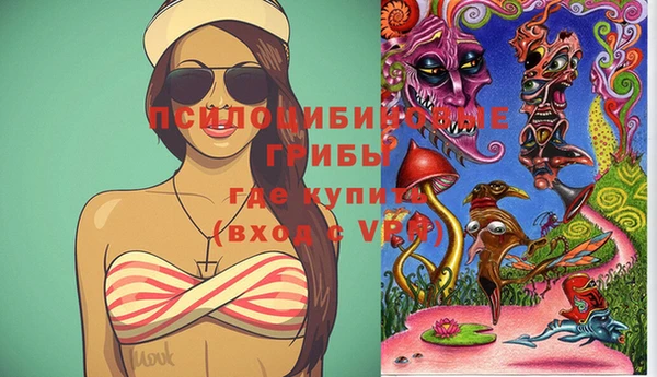 сатива Беломорск