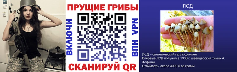 blacksprut вход  Усть-Илимск  Псилоцибиновые грибы GOLDEN TEACHER 